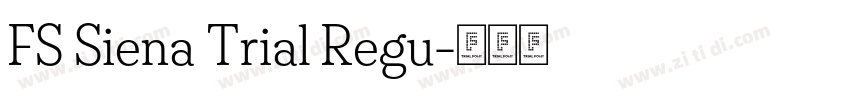 FS Siena Trial Regu字体转换
